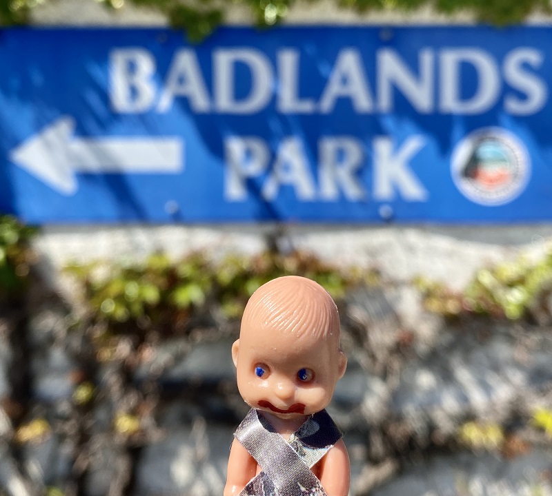 Brutus Baby went to Badlands Park